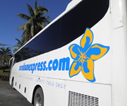 Coral Sun Bus 2